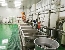 龍門式|槽式電泳設備